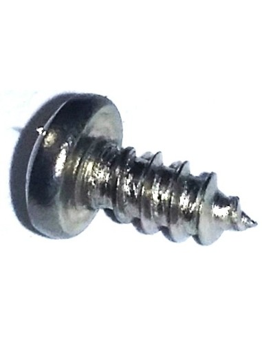 Spartan Window Screw