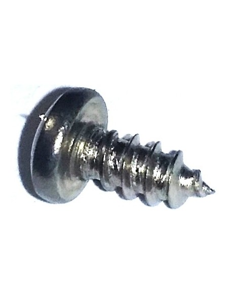 Spartan Window Screw